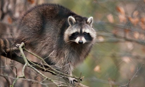 Διάβασε την προσωπική σου πρόβλεψη, για σήμερα 02/11/2025