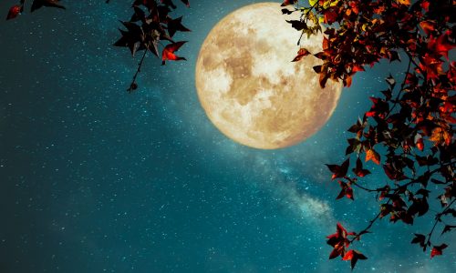 Δες τον δρόμο που σου δείχνει το Φεγγάρι από 01/11 έως 15/11