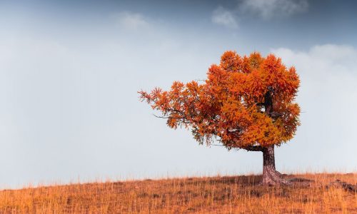 Διάβασε την προσωπική σου πρόβλεψη, για σήμερα 05/11/2025