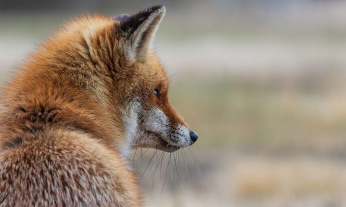 Διάβασε την προσωπική σου πρόβλεψη, για σήμερα 14/11/2025