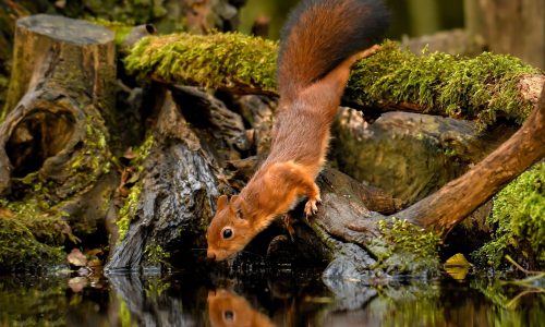 Διάβασε την προσωπική σου πρόβλεψη, για σήμερα 18/11/2025