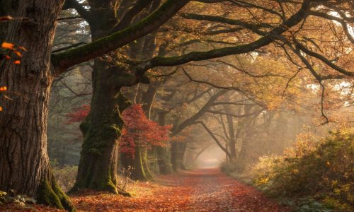 Διάβασε την προσωπική σου πρόβλεψη, για σήμερα 30/11/2025