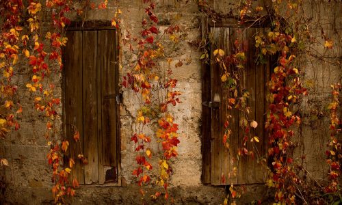 Διάβασε την προσωπική σου πρόβλεψη, για σήμερα 23/11/2025