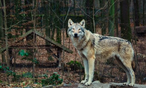 Διάβασε την προσωπική σου πρόβλεψη, για σήμερα 26/11/2025