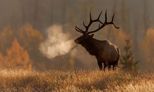 Διάβασε την προσωπική σου πρόβλεψη, για σήμερα 29/11/2025