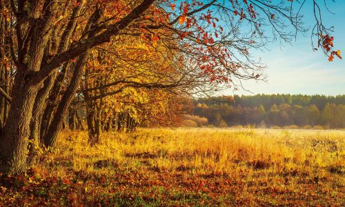 Διάβασε την προσωπική σου πρόβλεψη, για σήμερα 27/11/2025