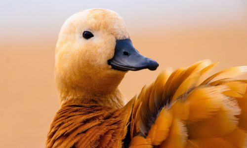 Διάβασε την προσωπική σου πρόβλεψη, για σήμερα 24/11/2025