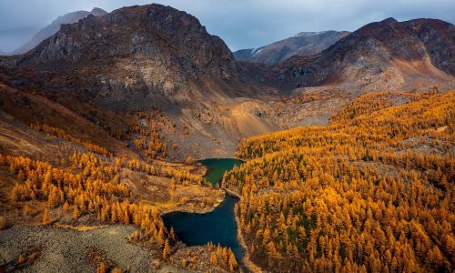 Διάβασε την προσωπική σου πρόβλεψη, για σήμερα 25/11/2025