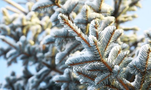 Διάβασε την προσωπική σου πρόβλεψη, για σήμερα 26/12/2025