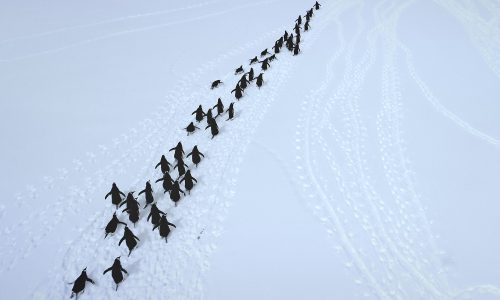 Διάβασε την προσωπική σου πρόβλεψη, για σήμερα 27/12/2025