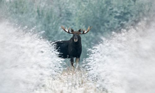 Διάβασε την προσωπική σου πρόβλεψη, για σήμερα 30/12/2025