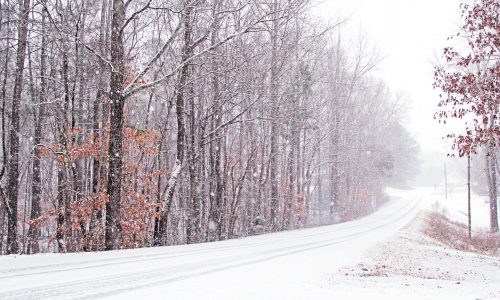 Διάβασε την προσωπική σου πρόβλεψη, για σήμερα 16/12/2025
