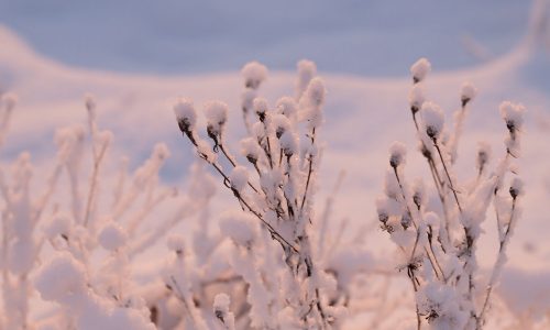 Διάβασε την προσωπική σου πρόβλεψη, για σήμερα 22/12/2025