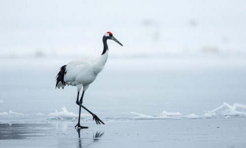 Διάβασε την προσωπική σου πρόβλεψη, για σήμερα 11/12/2025