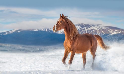 Διάβασε την προσωπική σου πρόβλεψη, για σήμερα 07/12/2025