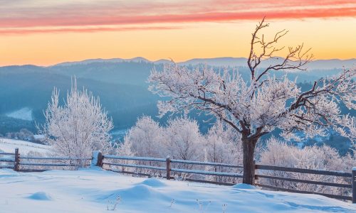 Διάβασε την προσωπική σου πρόβλεψη, για σήμερα 29/12/2025