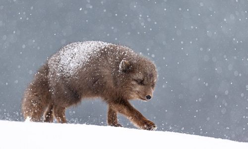 Διάβασε την προσωπική σου πρόβλεψη, για σήμερα 21/12/2025