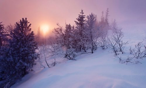 Διάβασε την προσωπική σου πρόβλεψη, για σήμερα 31/12/2025