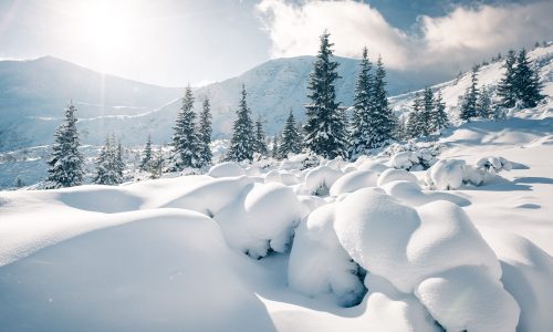 Διάβασε την προσωπική σου πρόβλεψη, για σήμερα 20/12/2025