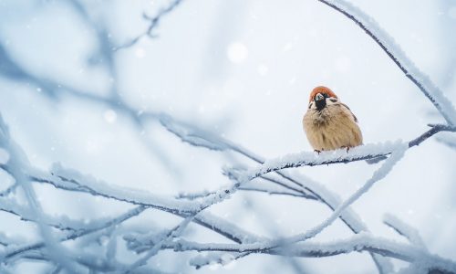 Διάβασε την προσωπική σου πρόβλεψη, για σήμερα 13/12/2025