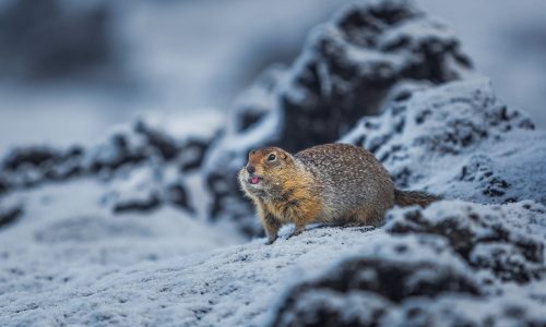 Διάβασε την προσωπική σου πρόβλεψη, για σήμερα 17/12/2025