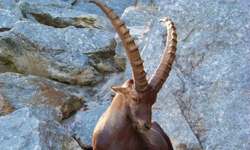 Ζώδια Σήμερα 22/12: Ήλιος στον Αιγόκερω – Καινούργιοι στόχοι