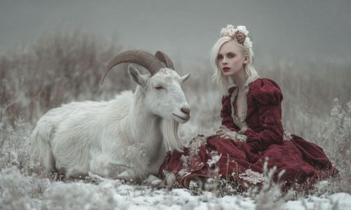 Ζώδια Σήμερα 25/12: Αφροδίτη στον Αιγόκερω  - Η νέα είναι ωραία αλλά η «παλιά» είναι αλλιώς