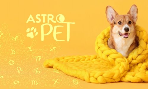 AstroPet από 09/12 έως 15/12: Εβδομαδιαίες προβλέψεις για το κατοικίδιό σου