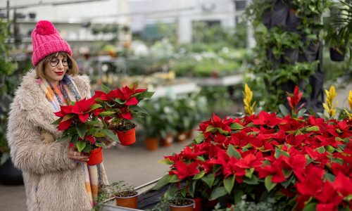 Ημερήσιες Προβλέψεις για όλα τα Ζώδια, 03/01/26: Διαχειρίσου τις προκλήσεις με ψυχραιμία