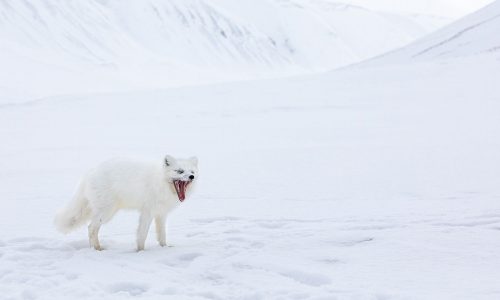 Διάβασε την προσωπική σου πρόβλεψη, για σήμερα 30/01/2026