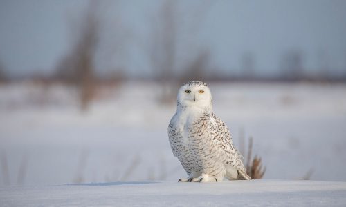 Διάβασε την προσωπική σου πρόβλεψη, για σήμερα 28/01/2026