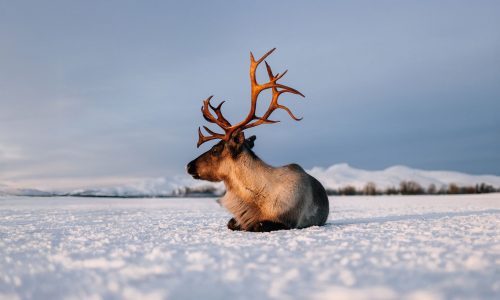 Διάβασε την προσωπική σου πρόβλεψη, για σήμερα 02/01/2026