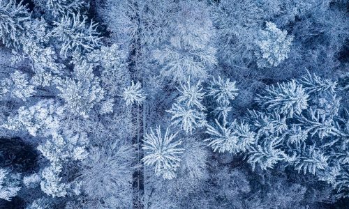 Διάβασε την προσωπική σου πρόβλεψη, για σήμερα 21/01/2026