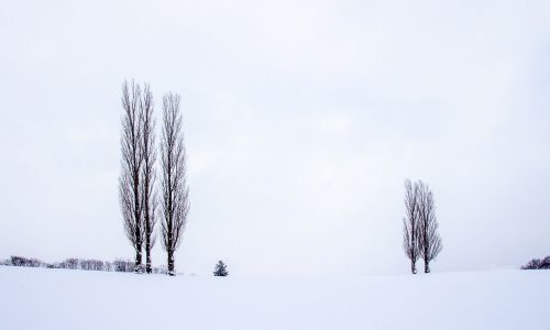 Διάβασε την προσωπική σου πρόβλεψη, για σήμερα 31/01/2026