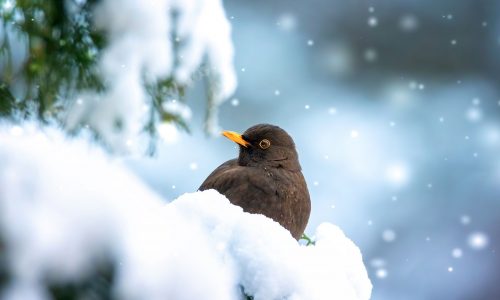 Διάβασε την προσωπική σου πρόβλεψη, για σήμερα 24/01/2026