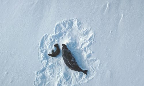 Διάβασε την προσωπική σου πρόβλεψη, για σήμερα 14/01/2026