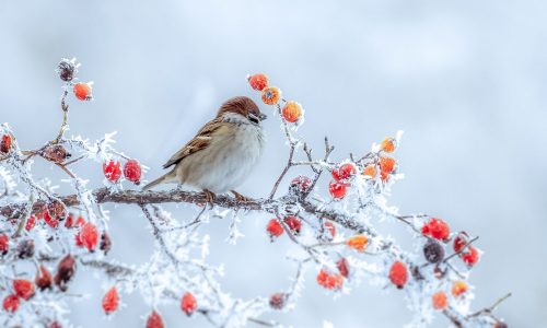 Διάβασε την προσωπική σου πρόβλεψη, για σήμερα 06/01/2026