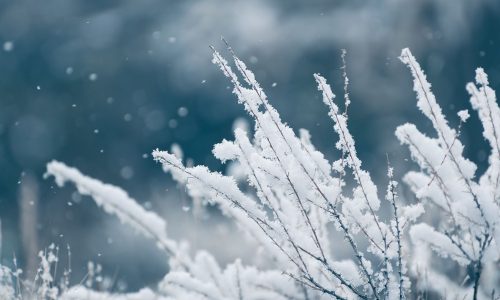 Διάβασε την προσωπική σου πρόβλεψη, για σήμερα 17/01/2026