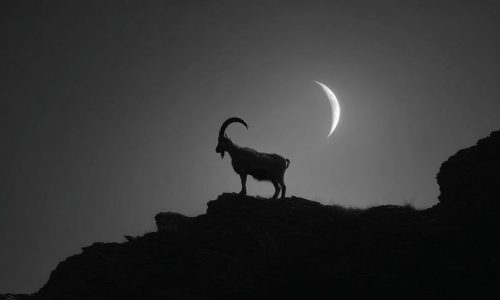 Ζώδια Σήμερα 18/01: Νέα Σελήνη στον Αιγόκερω – Ανάλαβε δεσμεύσεις