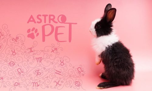 AstroPet από 13/01 έως 19/01: Εβδομαδιαίες προβλέψεις για το κατοικίδιό σου