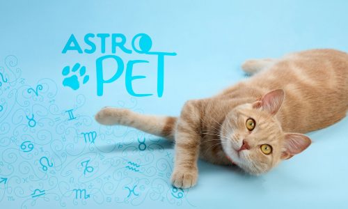 AstroPet από 20/01 έως 26/01: Εβδομαδιαίες προβλέψεις για το κατοικίδιό σου