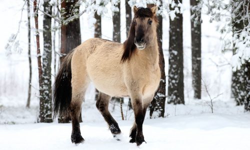 Διάβασε την προσωπική σου πρόβλεψη, για σήμερα 05/02/2026