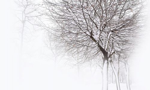 Διάβασε την προσωπική σου πρόβλεψη, για σήμερα 02/02/2026