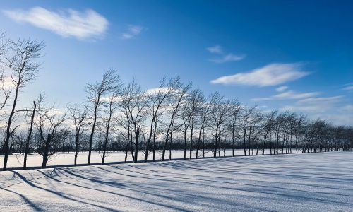 Διάβασε την προσωπική σου πρόβλεψη, για σήμερα 04/02/2026