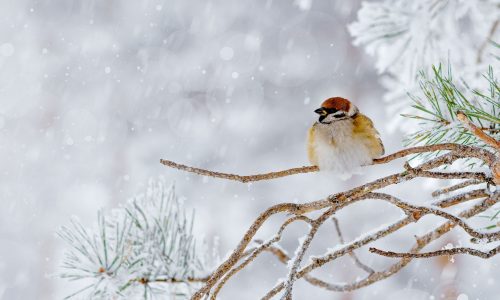 Διάβασε την προσωπική σου πρόβλεψη, για σήμερα 09/02/2026