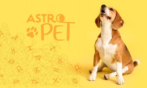 AstroPet από 03/02 έως 09/02: Εβδομαδιαίες προβλέψεις για το κατοικίδιό σου
