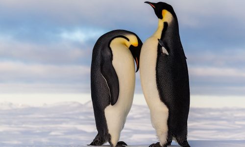 Διάβασε την προσωπική σου πρόβλεψη, για σήμερα 11/02/2026