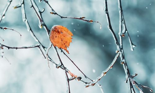 Διάβασε την προσωπική σου πρόβλεψη, για σήμερα 12/02/2026