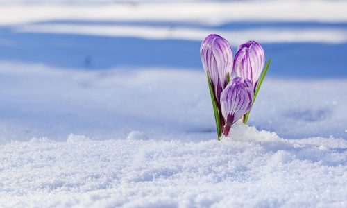 Διάβασε την προσωπική σου πρόβλεψη, για σήμερα 28/02/2026
