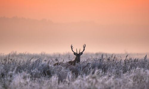 Διάβασε την προσωπική σου πρόβλεψη, για σήμερα 13/02/2026